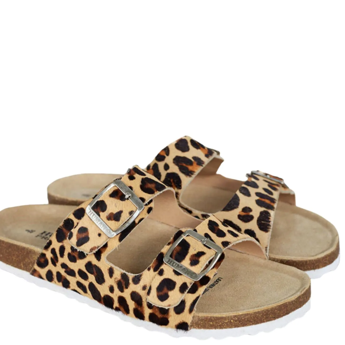 Lynx Slide | Leopard | HS6